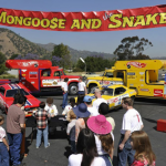 Hot Wheels Snake and Mongoose