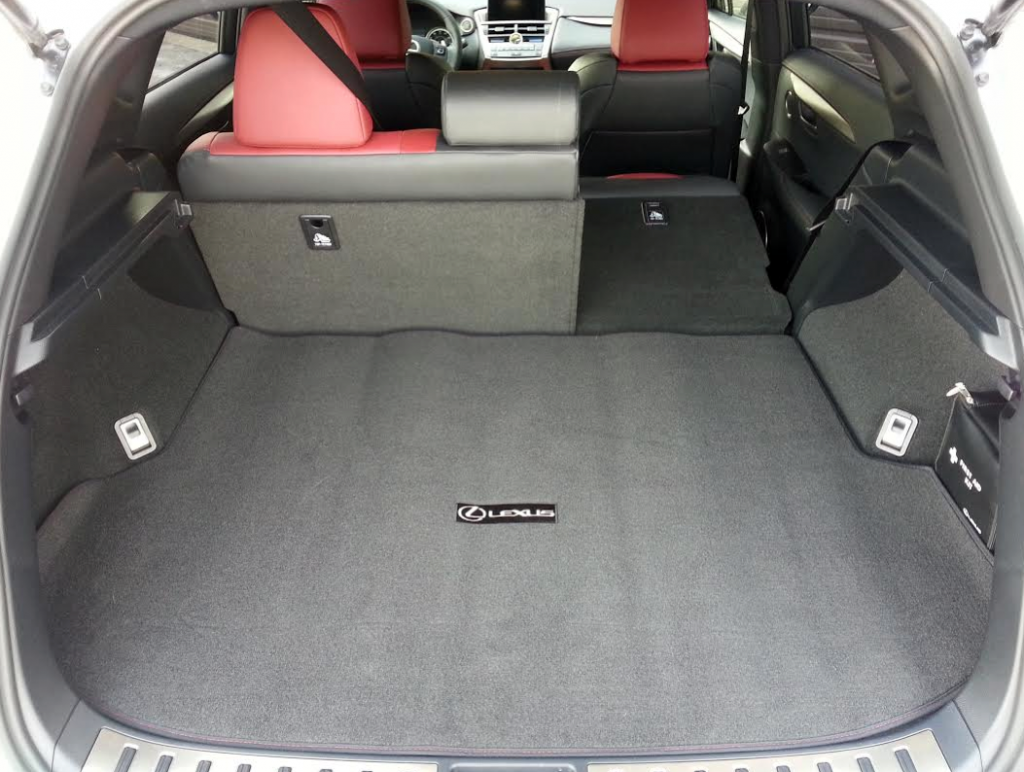 Test Drive 2015 Lexus NX 200t F Sport The Daily Drive Consumer Guide®