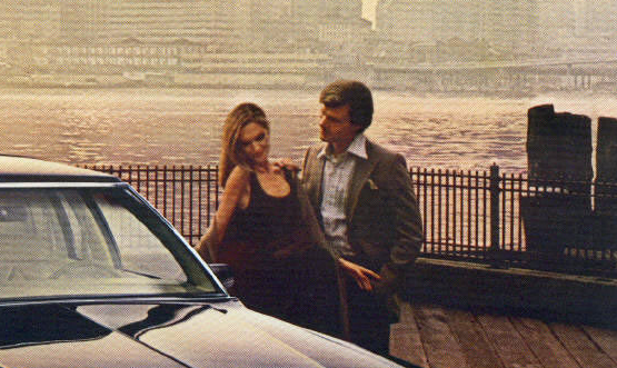 1980 Car Brochure 