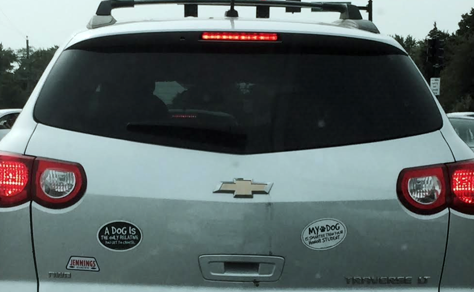 Dog Stickers on car 