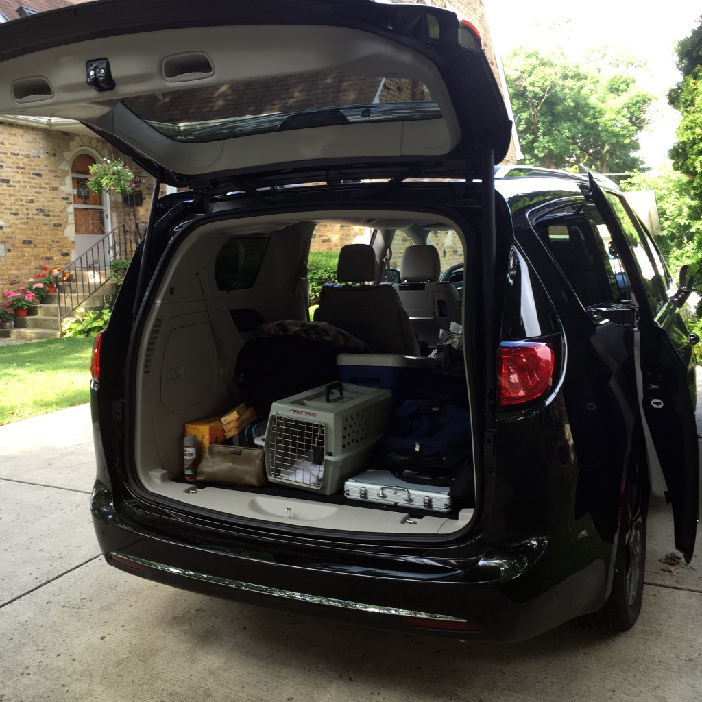 2017 Pacifica cargo area 