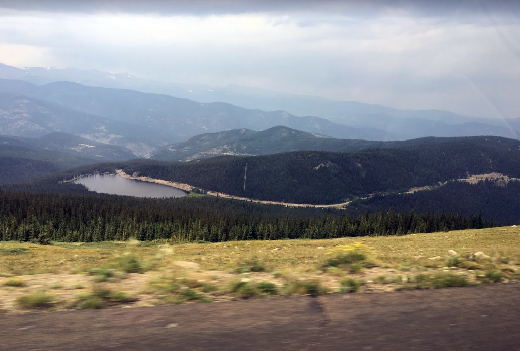 Mount Evans tree line 