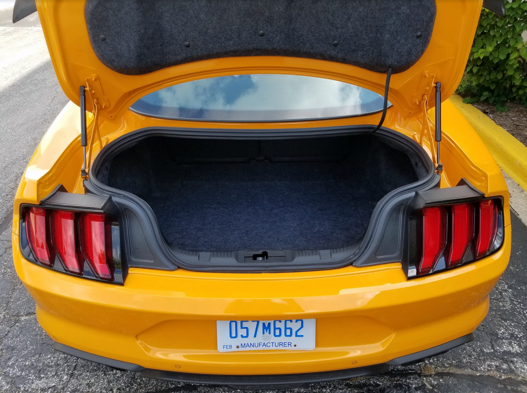 2018 Mustang GT 