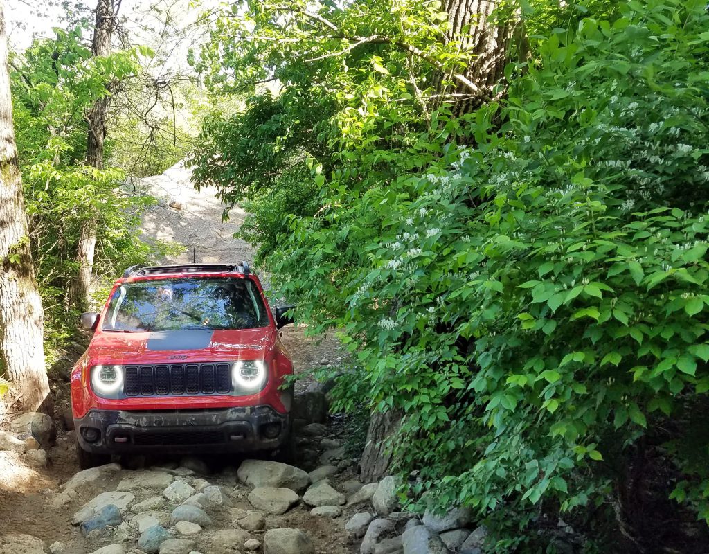 2019 Jeep Renegade Trackhaw