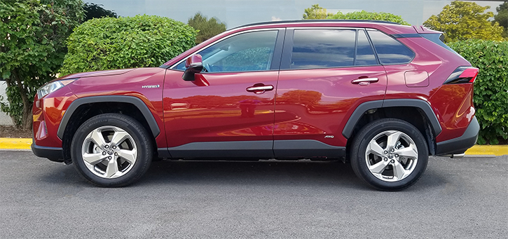 2019 Toyota RAV4 Ruby Flare 