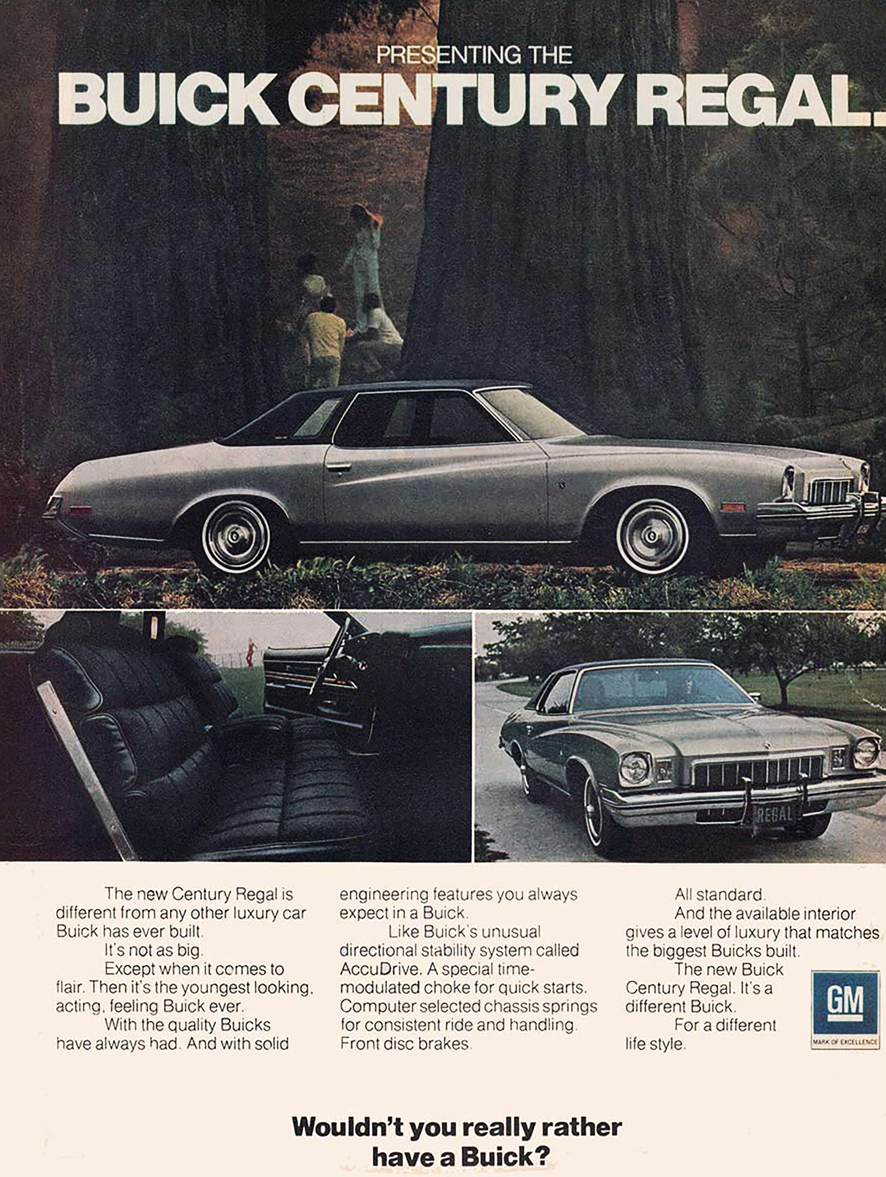  1973 Buick Century Regal 