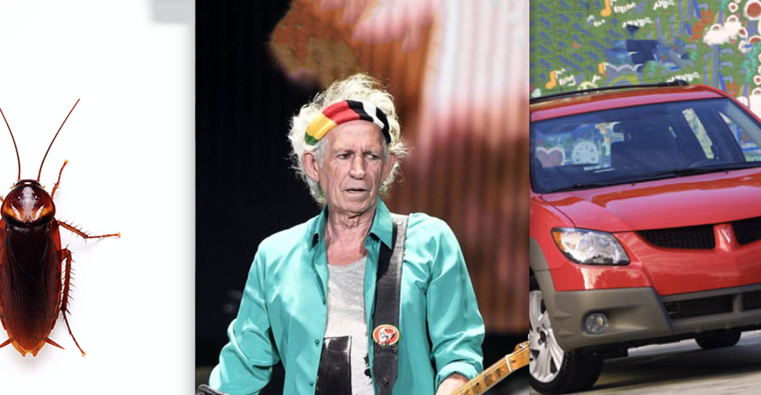 Cockroaches, Keith Richards, and the Pontiac Vibe
