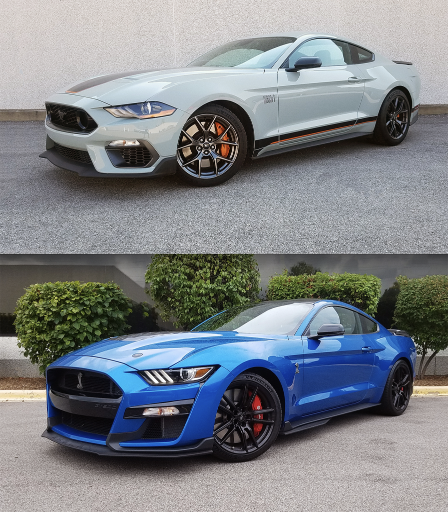 Ford Mustang - Mach 1 et GT