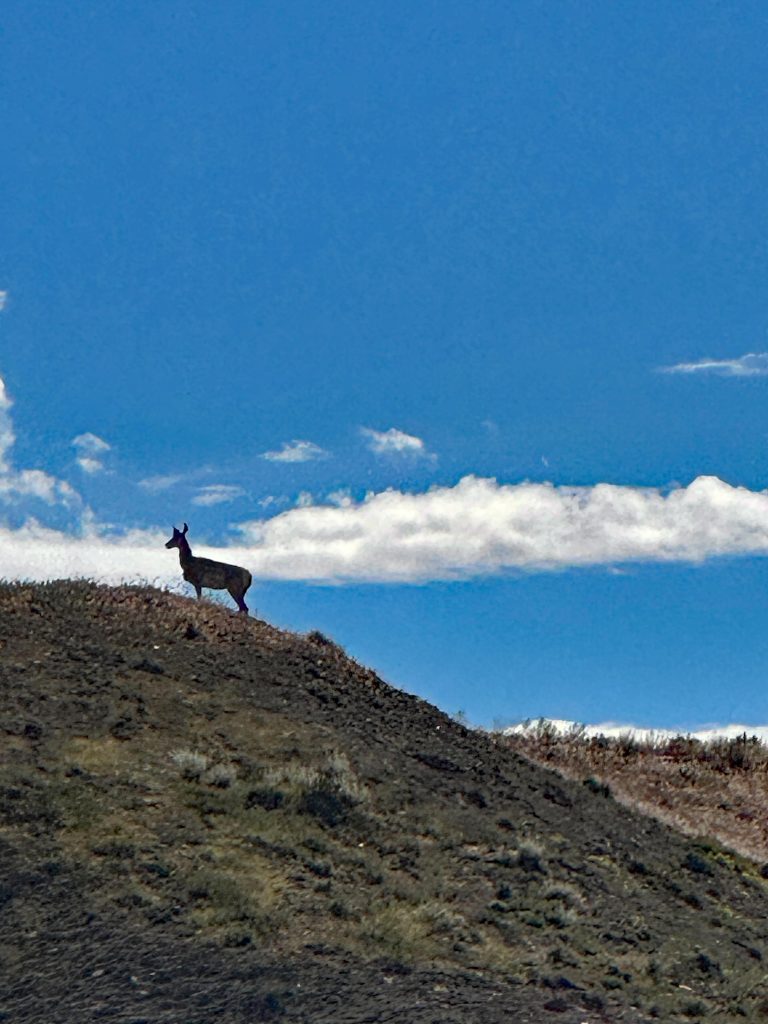 Moab, Utah