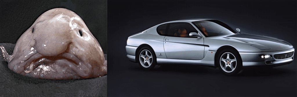 The Jeep 2000 Concept looked something akin to a monk fish crossed with a Ferrari 456. 