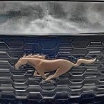 Bronze Appearance Package, Pony Emblem