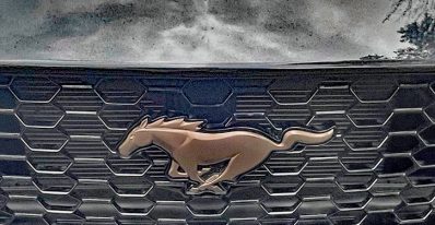 Bronze Appearance Package, Pony Emblem