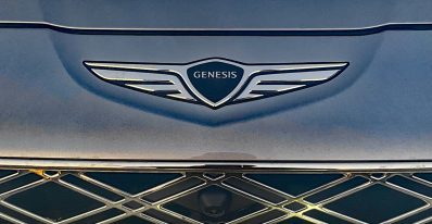 Grille detail, Genesis badge