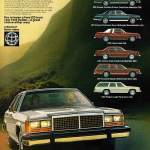 1981 Ford LTD ad