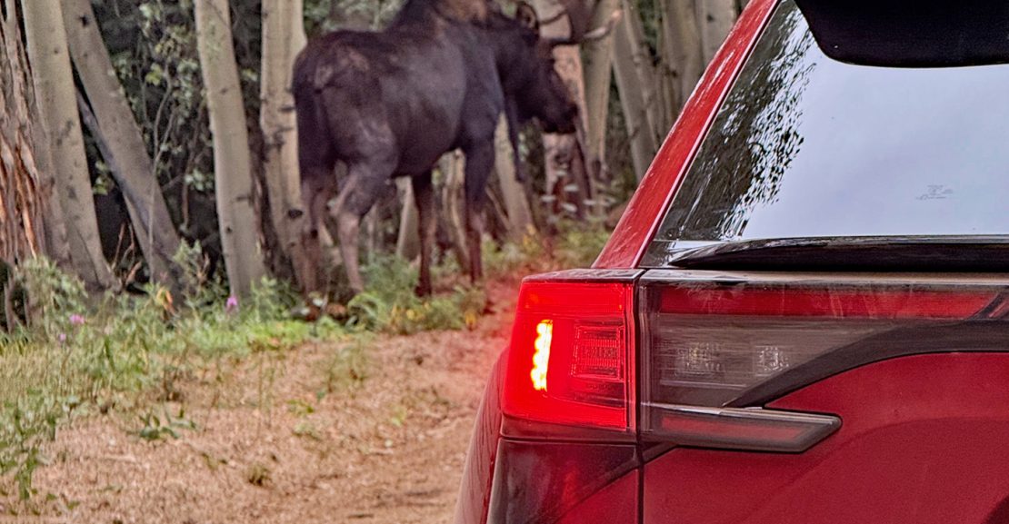 2026 Subaru Solterra XT, taillight, Solterra and Moose in the wild,