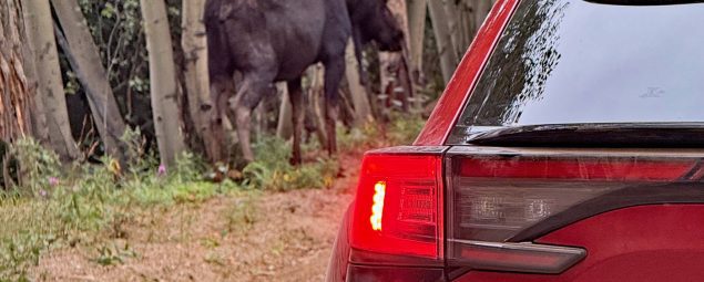 2026 Subaru Solterra XT, taillight, Solterra and Moose in the wild,