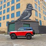 2025 Ford Bronco Stroppe Special Edition, profile, bird painting,