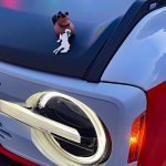 2025 Ford Bronco Stroppe Edition, headlight detail,