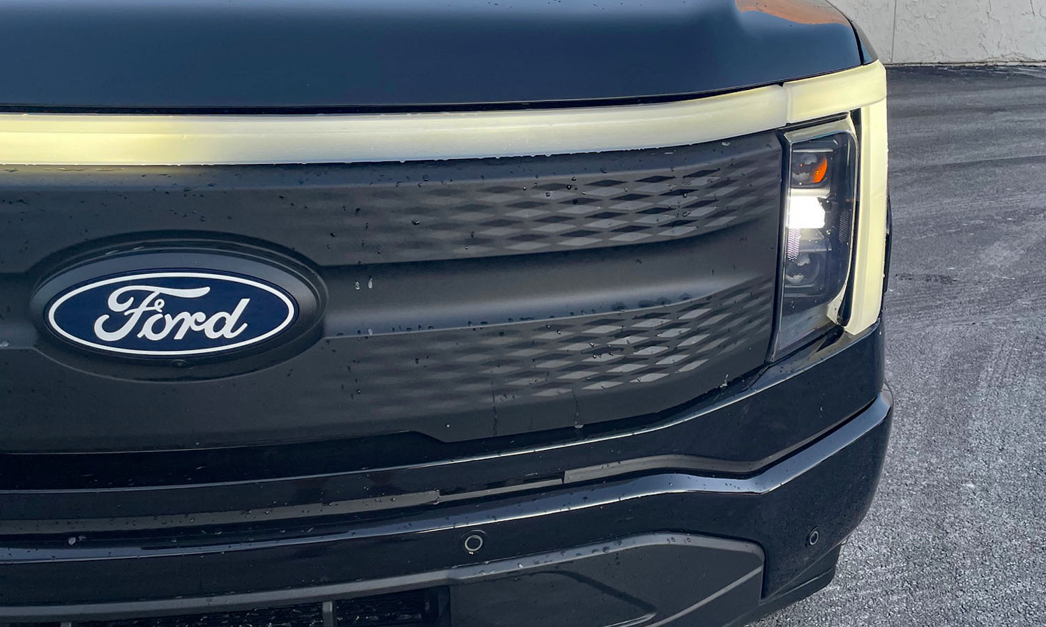 Ford F-150 Lightning Flash, grille detail,