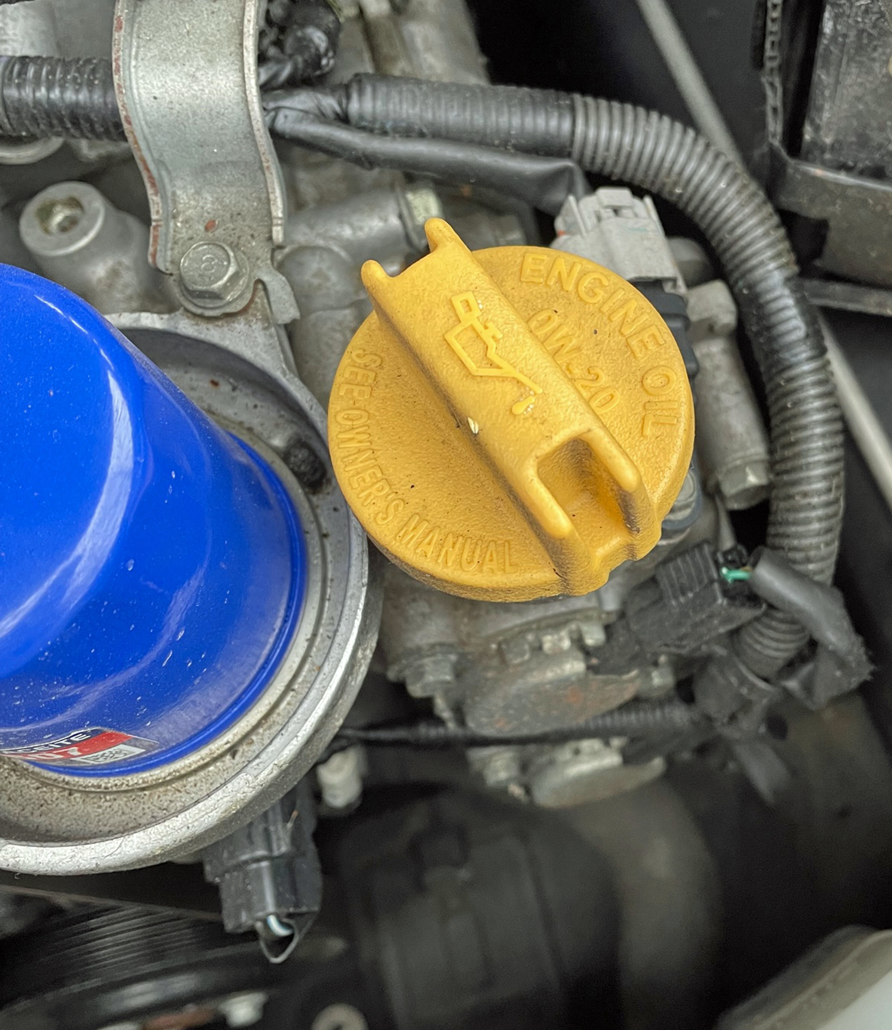 How to Check Your Oil The Daily Drive Consumer Guide®